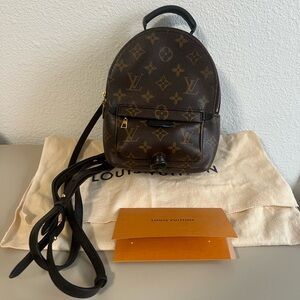 Louis Vuitton Palm Springs Mini